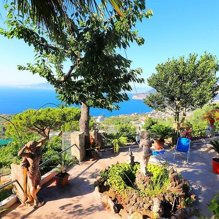 La Rosa Del Sud - De Vivo Realty Sorrento Apartment Bagian luar foto