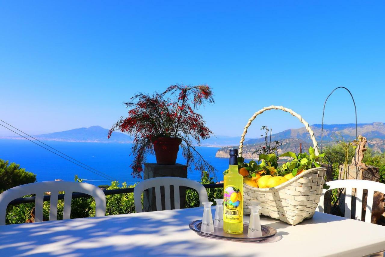 La Rosa Del Sud - De Vivo Realty Sorrento Apartment Bagian luar foto