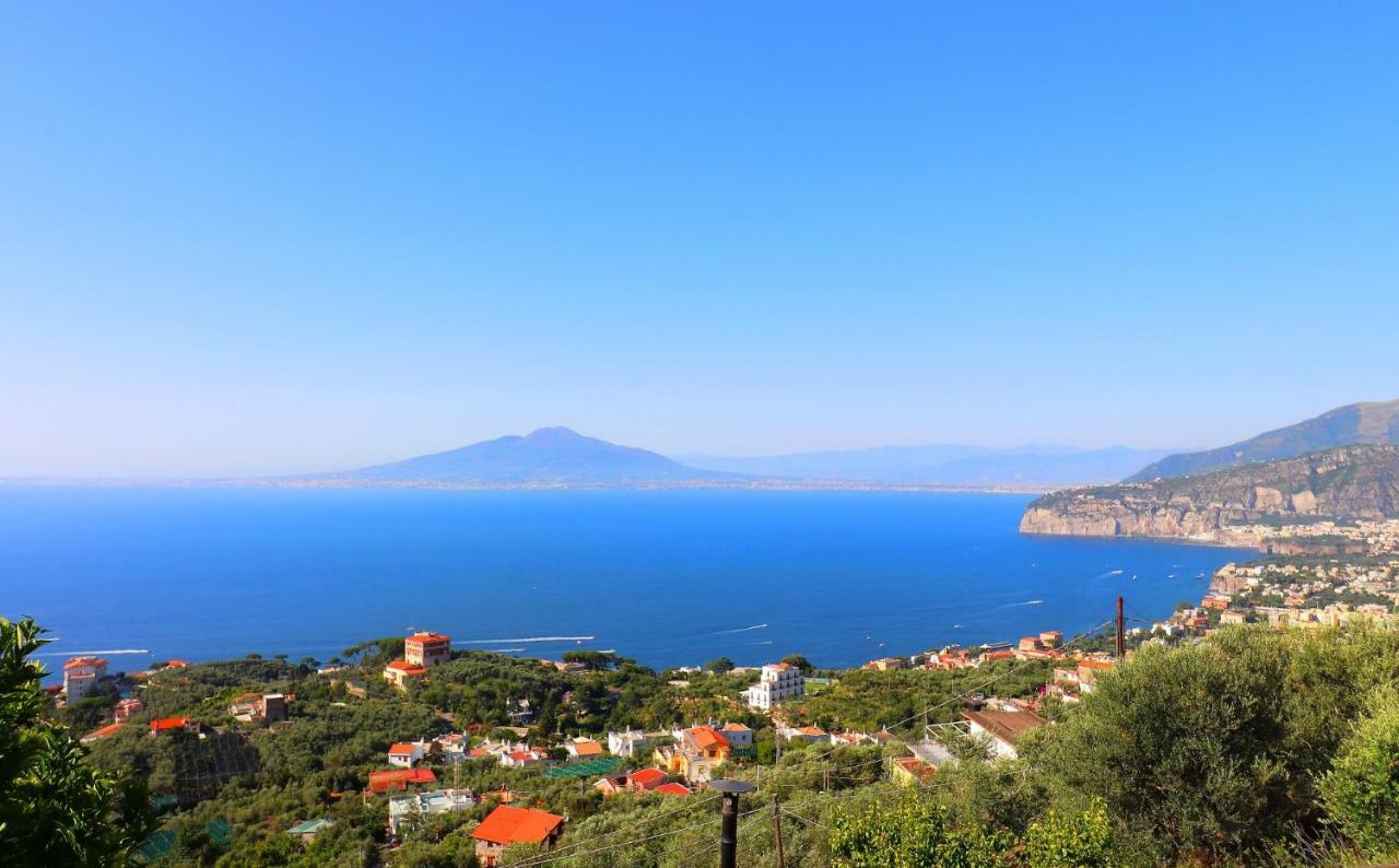 La Rosa Del Sud - De Vivo Realty Sorrento Apartment Bagian luar foto