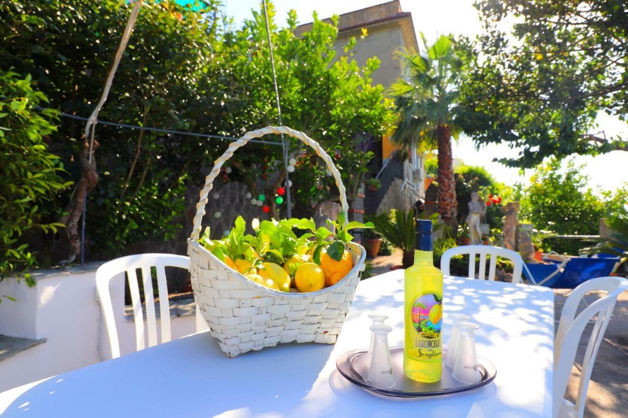 La Rosa Del Sud - De Vivo Realty Sorrento Apartment Bagian luar foto