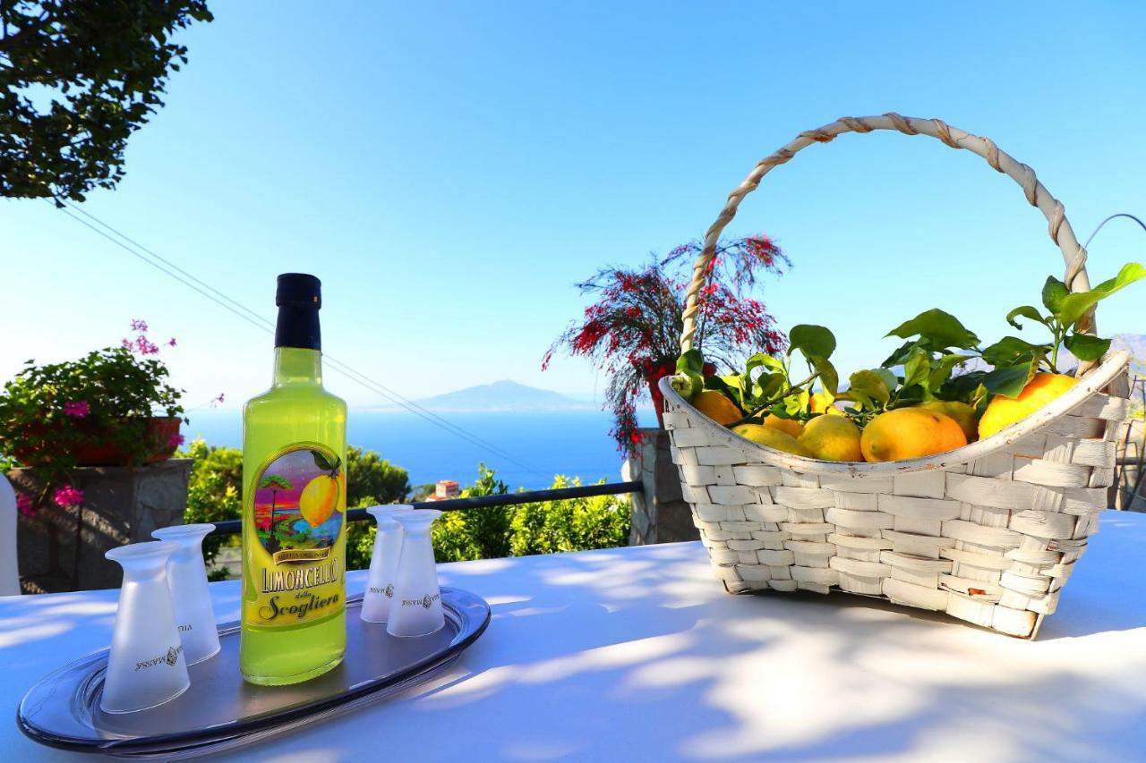 La Rosa Del Sud - De Vivo Realty Sorrento Apartment Bagian luar foto